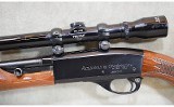 Remington~Speedmaster 552~.22 S, L, LR - 13 of 15