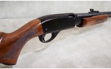 Remington~572 Fieldmaster~.22 Long Rifle - 7 of 13