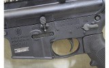 Smith & Wesson~M&P 15-22~.22 Long Rifle - 12 of 14