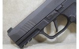 SIG SAUER~P365X~9mm Luger - 8 of 10