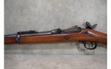 Springfield Armory~1884 Trapdoor~.45-70 GOVT - 12 of 15