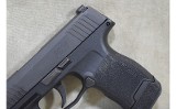 SIG SAUER~P365~9mm Luger - 9 of 9