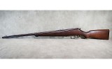 Savage~Sporter~.22 Long rifle - 8 of 16