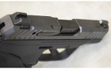 Ruger~LCP Max~.380 Auto - 6 of 9