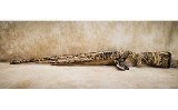 Retay~Gordian Max-7 SP~20 gauge - 9 of 14