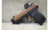 SIG SAUER~P365~9mm Luger - 9 of 12