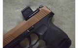 SIG SAUER~P365~9mm Luger - 11 of 12