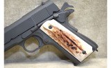 Tisas~1911-A1~.45 auto - 10 of 10
