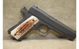 Tisas~1911-A1~.45 auto - 2 of 10