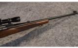 Winchester ~ Pre-64 Model 70 ~ .338 WIn. Mag. - 6 of 9