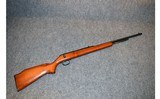 Remington ~ 592M ~ 5mm Remington Rimfire Magnum - 1 of 11