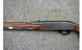 Remington ~ Nylon 66 ~ .22 Long Rifle - 9 of 11