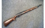 Remington ~ Nylon 66 ~ .22 Long Rifle - 1 of 11