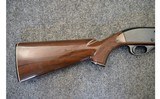 Remington ~ Nylon 66 ~ .22 Long Rifle - 2 of 11