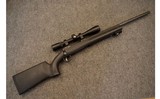 Savage ~ Model 10 ~ .308 Winchester - 1 of 10