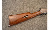Winchester ~ 03 ~ .22 Winchester Automatic - 2 of 11