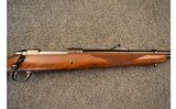 Ruger ~ M77 ~ .458 Winchester Magnum - 3 of 11