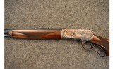 Armi Sport ~ 1886 ~ .45-70 Government - 8 of 10