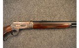 Armi Sport ~ 1886 ~ .45-70 Government - 3 of 10