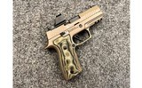 Sig Sauer ~ P320 AXG Scorpion ~ 9mm Luger - 1 of 4