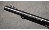 HERITAGE MFG ~ ROUGH RIDER ~ .22 CALIBER - 5 of 5