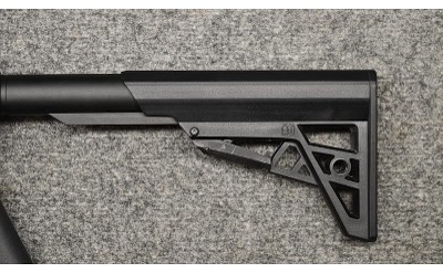 TNW ~ ASR ~ .45 AUTO - Image 7 of 7