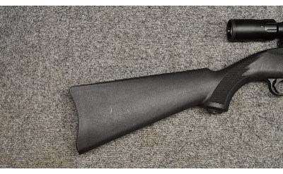 RUGER ~ 10/22 ~ .22 LONG RIFLE - Image 2 of 7